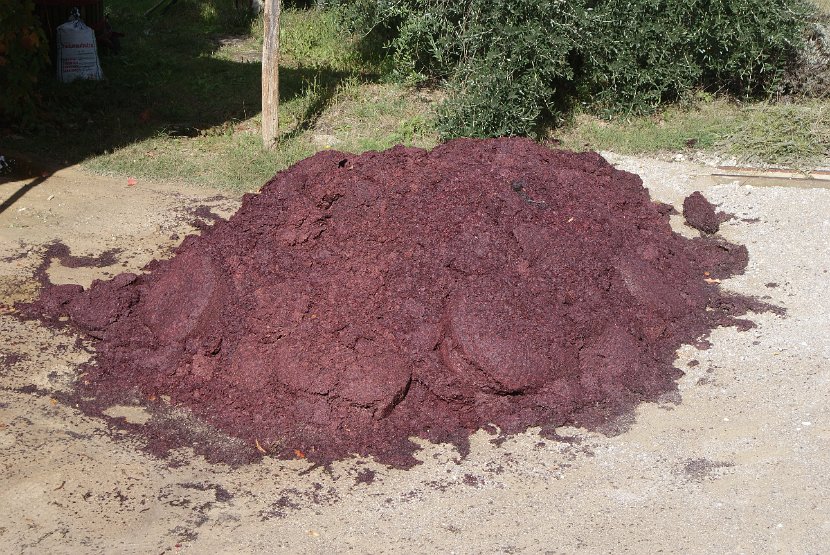 Chianti-2 2016 - 119